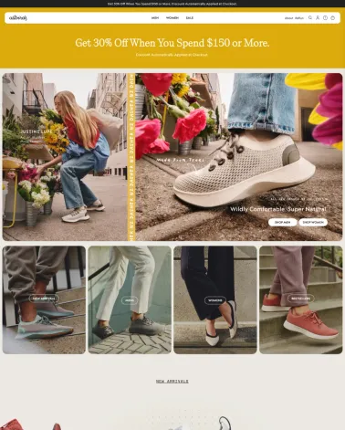 Shopify Shop Erstellung für AllBirds